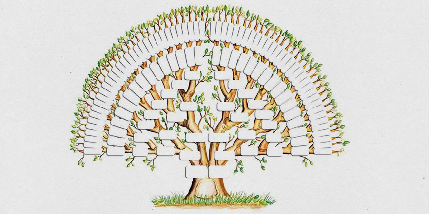 Peygamberlerin soy ağacı