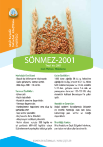 sönmez2001