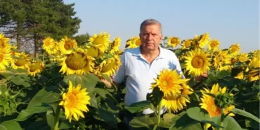 chpli-oguzdan-trakyada-aycicegi-alarmi-JQlpnHSV.webp