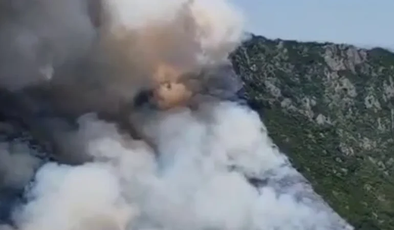 sakarya-geyvede-orman-yanginina-yogun-mudahale-cu49z12S.webp