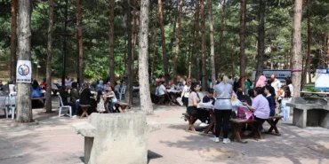 sivasta-sevgi-teyzeye-duyarli-destek-bsAgRicu.webp