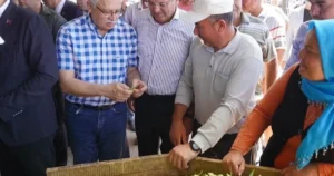 balikesir-ayvalikta-ciftcilere-ozel-destek-gxxVFVcn.webp