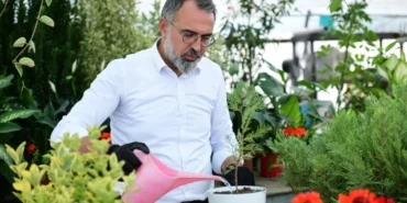 bursanin-kestel-ilcesi-sus-bitkilerini-sakaryada-gorucuye-cikaracak-nzIDM8ta.webp