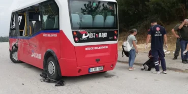 duzcede-kamyon-ile-minibus-carpisti-7-yarali-SOZ9npIx.webp