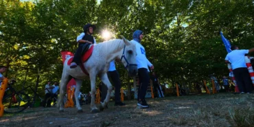sakaryada-pony-atlarla-senlik-Q8WOADtU.webp