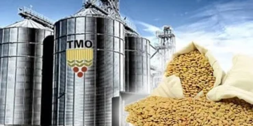 tmonun-ithalat-ihalelerine-yeni-duzenleme-6q8QxqTP.webp