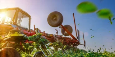 agrogreen-bursa-2025-16-ulkeden-satin-almaci-agirlayacak-5YTfM2bB.webp