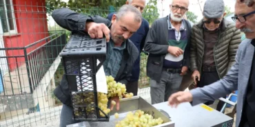 bursa-inegolden-uzum-hasadini-kolaylastiran-destek-DKx9zqjX.webp