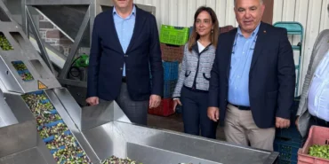 ayvalik-ticaret-odasi-zeytinyagi-ihracatinda-en-buyuk-sorun-markasizlik-2Q247b67.webp