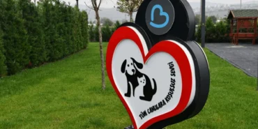 balikesirde-can-dostlar-buyuksehir-eliyle-guvende-YW5aEfxQ.webp