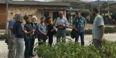 izmirde-efes-tarlasi-yasam-koyune-uluslararasi-ilgi-buyuyor-Xw8UbZN3.webp