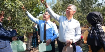 manisa-somada-zeytin-hasadi-senligi-mRhCYgth.webp