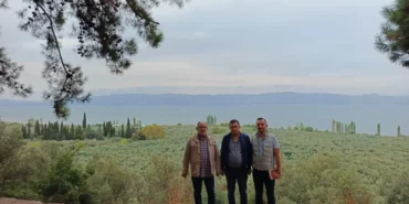 marmarabirlikten-anit-zeytin-agaclarina-ozel-marka-vizyonu-qhh6IUaq.webp