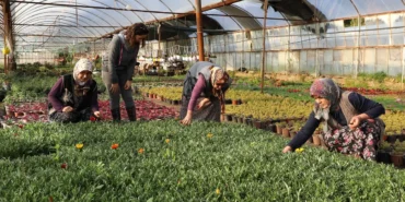 muglada-kadin-emegiyle-gelecek-insa-ediliyor-6ffqnLeR.webp
