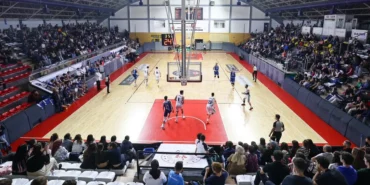 sakarya-evinde-dackayi-agirliyor-KAbL1O8c.webp