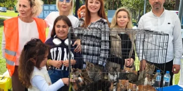 satin-alma-sahiplen-etkinliginde-can-dostlara-yeni-yuvalar-KrnuGskb.webp