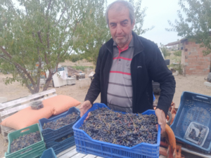 sifa-kaynagi-aronya-edirne-enezde-uretiliyor-0-FUrN7Lb5.jpeg