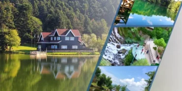 tarim-ve-orman-bakanligindan-milli-parklar-aciklamasi-talan-iddialari-gercegi-yansitmiyor-C36TGcsD.webp