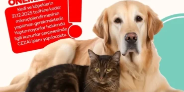 bursa-inegolde-evde-kedi-kopek-besleyenlere-mikrocip-uyarisi-unUiYU4a.webp