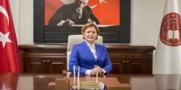 havvanur-yurtsever-hsk-uyeligine-yeniden-secildi-p2idShO2.webp