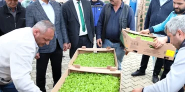 kocaelide-gebzeli-ciftcilere-500-bin-fide-dagitildi-6K7AZwDt.webp