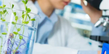 laboratuvar-denetimlerinde-yeni-kural-cezalarda-tarih-hesabi-il-mudurlerine-baglandi-YAcxmJjq.webp
