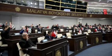 malatyada-300-dekarlik-alan-fidan-ve-cim-uretimi-icin-kiralandi-VZiOh2Ui.webp