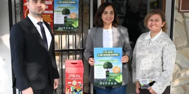 manisada-1-kilogram-atik-pil-getirene-zeytin-fidani-hediye-ABw7qPIf.webp