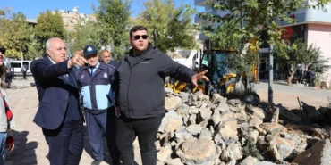 mardin-yesillide-buyuk-donusum-50-bin-agaclik-yesil-hamle-HNmeEblm.webp