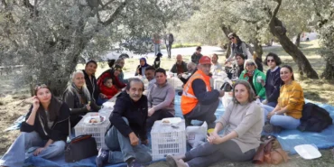 mudanyada-birlikte-zeytin-topladilar-2qGmPGa7.webp
