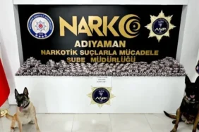 adiyamanda-asayis-ve-narkotik-operasyonlari-55-supheli-yakalandi-9-tutuklama-w9PcZD1B.webp