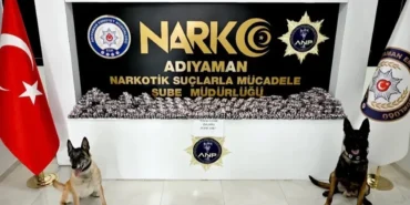 adiyamanda-asayis-ve-narkotik-operasyonlari-55-supheli-yakalandi-9-tutuklama-w9PcZD1B.webp
