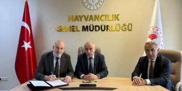 besilik-hayvan-krizine-nester-iki-kritik-protokolle-yerli-uretim-guclenecek-nAyU5RBJ.webp