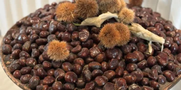 bursa-kestanesinin-gelecegi-masaya-yatirildi-ItM9unZ9.webp