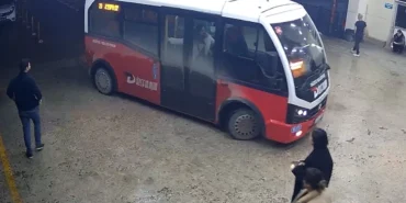duzcede-halk-otobusu-soforlerinden-ornek-davranis-eYcvBz5r.webp