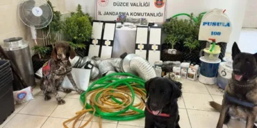 duzcede-uyusturucu-operasyonu-1-gozalti-NKt9FSdK.webp