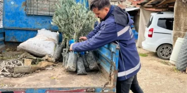 eskisehir-buyuksehirden-ureticiye-zeytin-fidani-destegi-AX2aUCxS.webp