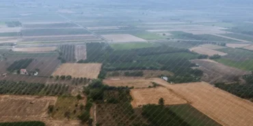 ipard-iiiten-156-yerel-eylem-grubuna-yuzde-100-hibe-destegi-ZiCr756U.webp