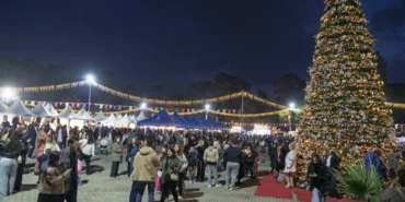 izmirde-yeni-yil-festivaline-ilgi-yogun-bfg7XNA8.webp