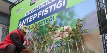 konyada-antep-fistigi-yayginlasiyor-SuMEKKgs.webp