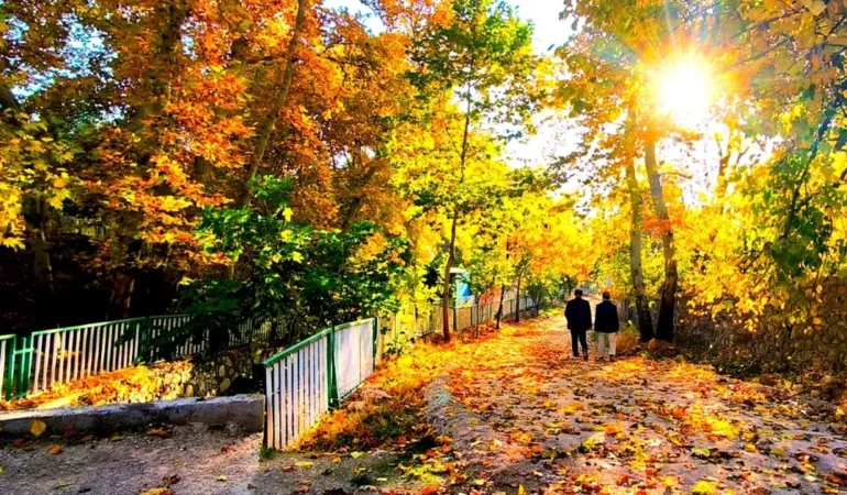 mardin-yesillide-sonbahar-buyusu-ozel-haber-qycNgHQi.webp