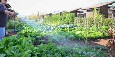 mersin-hobi-parkinda-kis-hazirliklari-tamamlandi-3yWtKhU5.webp