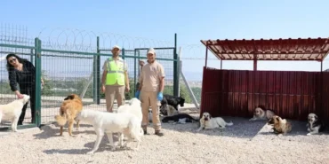 eskisehirde-dogaya-ve-can-dostlara-tam-destek-ww4RkJg8.webp