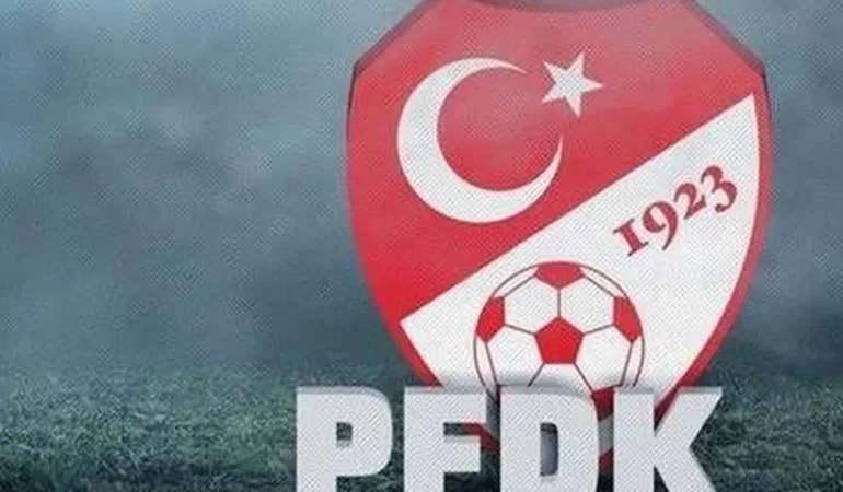 pfdkdan-153-maddelik-teknik-karar-gCFxMH1z.webp