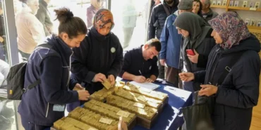 eskisehirde-yerel-tohum-takas-gunleri-basliyor-GnGkLCP5.webp