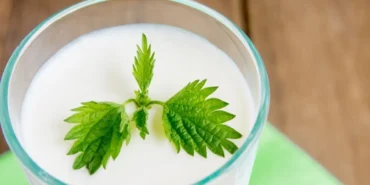 ramazanda-susuz-kalmayin-sut-ve-ayran-hidrasyonun-gizli-kahramanlari-xY3tWqB4.webp