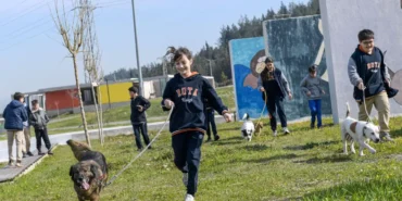 izmirde-2-bin-300-patili-yuva-bekliyor-wnJPyamY.webp