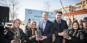 ureticilere-incir-fidani-destegi-VwUapz3S.webp