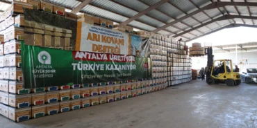 antalya-buyuksehirden-aricilara-kovan-destegi-hnccyIQA.webp