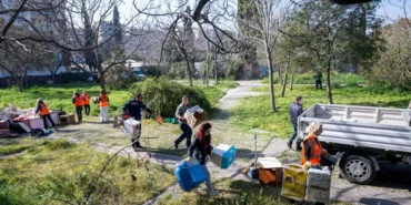 izmir-bornovada-kedili-park-yeniden-guvenli-hale-geldi-RfPEYKgH.webp